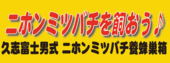 日本ミツバチ巣箱