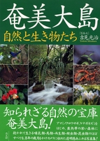 奄美大島